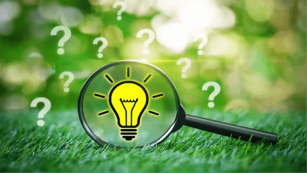 Jardinagem completa no blog Conversa Pronta. Um tutorial comleto.