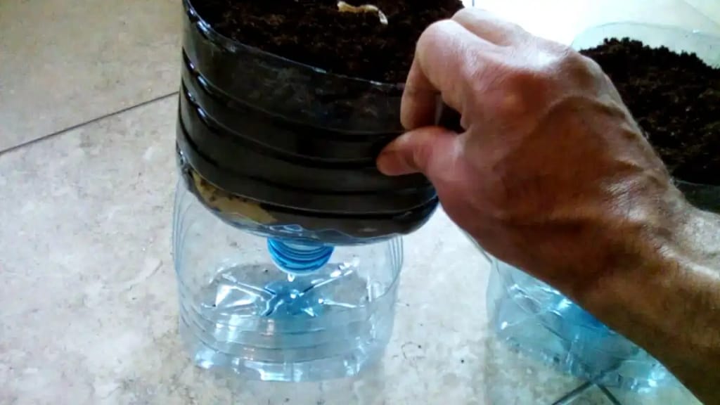 Vaso autoirrigável para plantas maiores, com galão de 5lts, no blog Conversa Pronta.