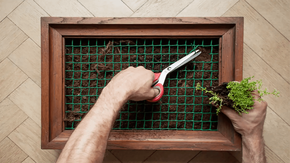 Como fazer quadro vivo de suculentas, todas as dicas estão no blog Conversa Pronta.