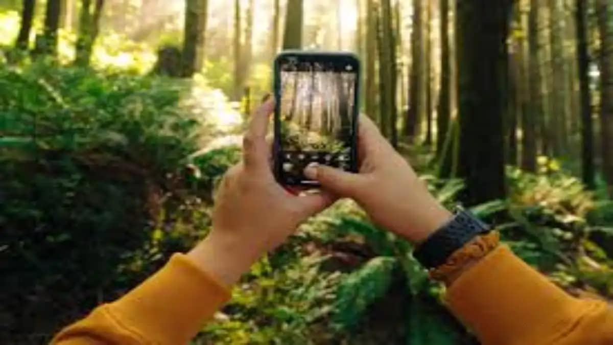 Influencer verde gerando renda nas redes sociais. Dicas e sustentabilidade no blog Conversa Pronta.