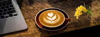 Blog Conversa Pronta, com receitas rápidas, cultivo em casa, cuidados com pets e ideias práticas para seu dia a dia, tambbém no celular.