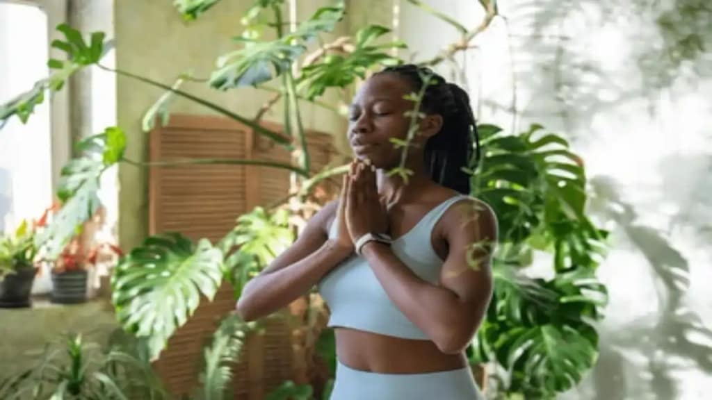 Meditação com plantas, passo a passo no Blog Conversa Pronta.