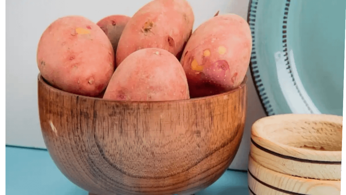 Lucrar com batata descascada, natural e cortada, dicas completas no blog Conversa Pronta.