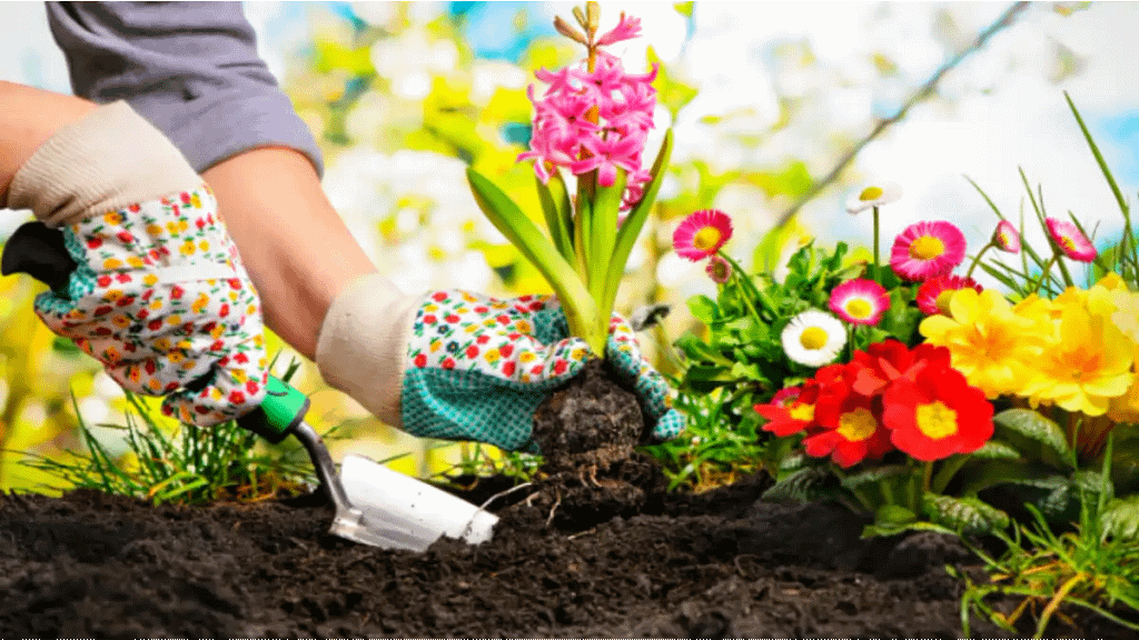 Jardinagem: Seu Novo Hobby Antiestresse e Relaxante