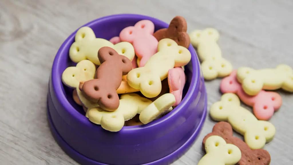 Receitas naturais para pets, fáceis de fazer e de vender