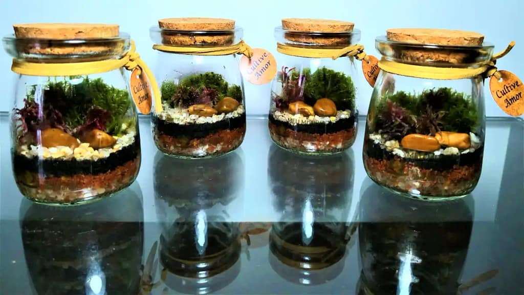 Mini terrários para lembrancinhas de festas no blog Conversa Pronta.