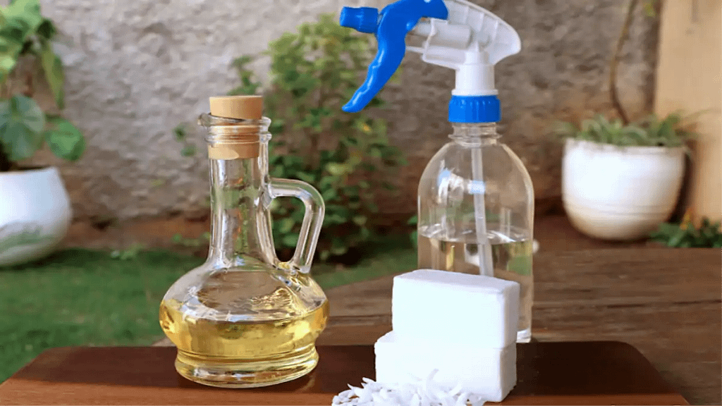 Aplicação de sabão contra pragas nas plantas, passo a passo no blog Conversa Pronta.