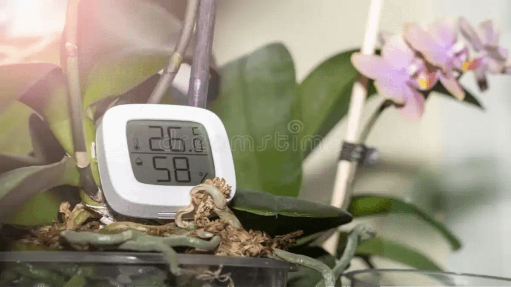 Termo-higrômetro usado em vasos de plantas. Blog Conversa pronta.