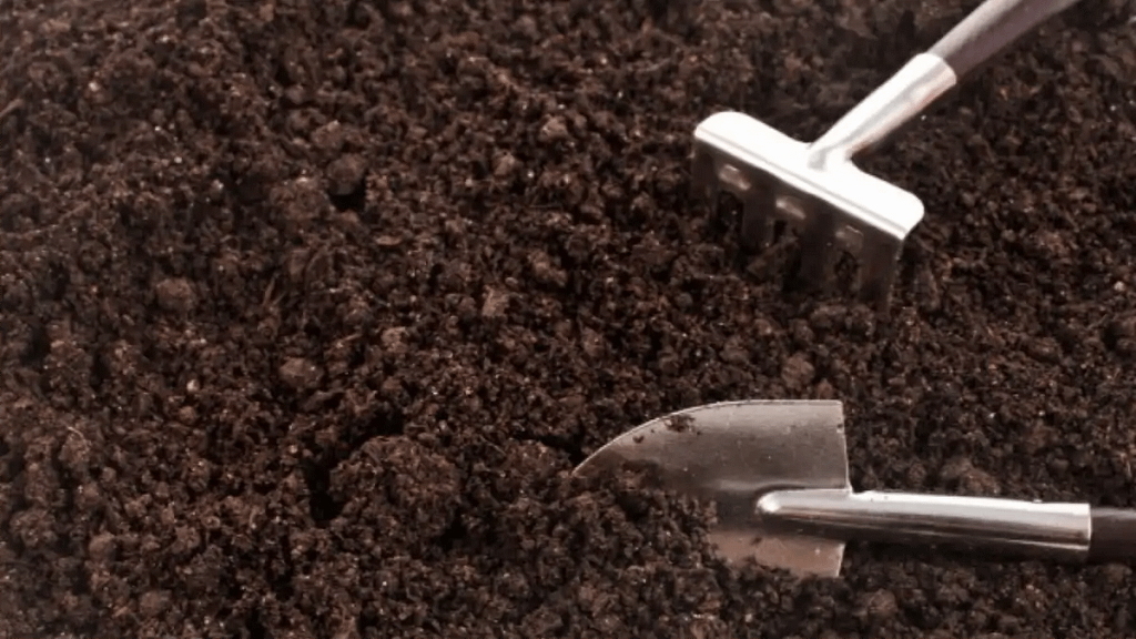 Terra para mudas. As dicas estão no blog conversa pronta.