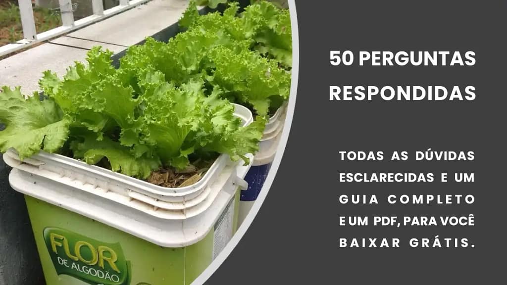 Vaso autoirrigável feito com galão reciclado, no blog Conversa Pronta.