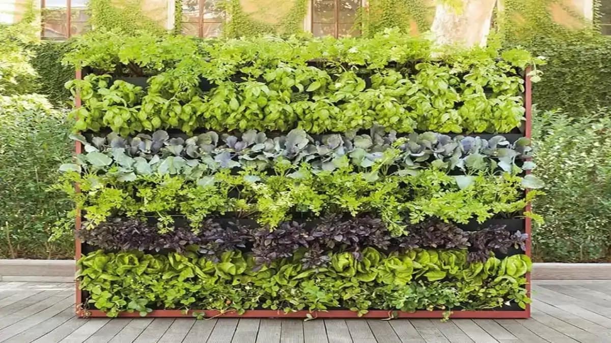 Jardim suspenso na varanda na página sobre do blog Conversa Pronta