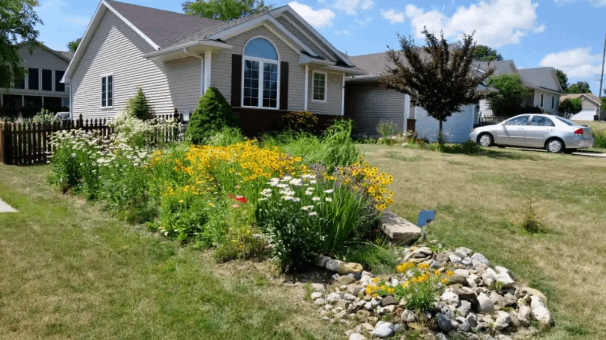 Jardim de chuva pronto e funcionando. Dicas no blog Conversa Pronta.