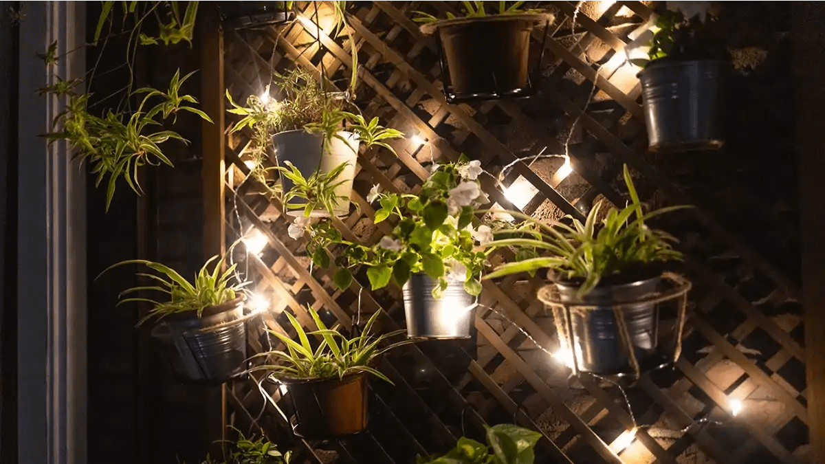 Led Grow, as lampadas para plantas de apartamento, todas as dicas no blog Conversa Pronta.