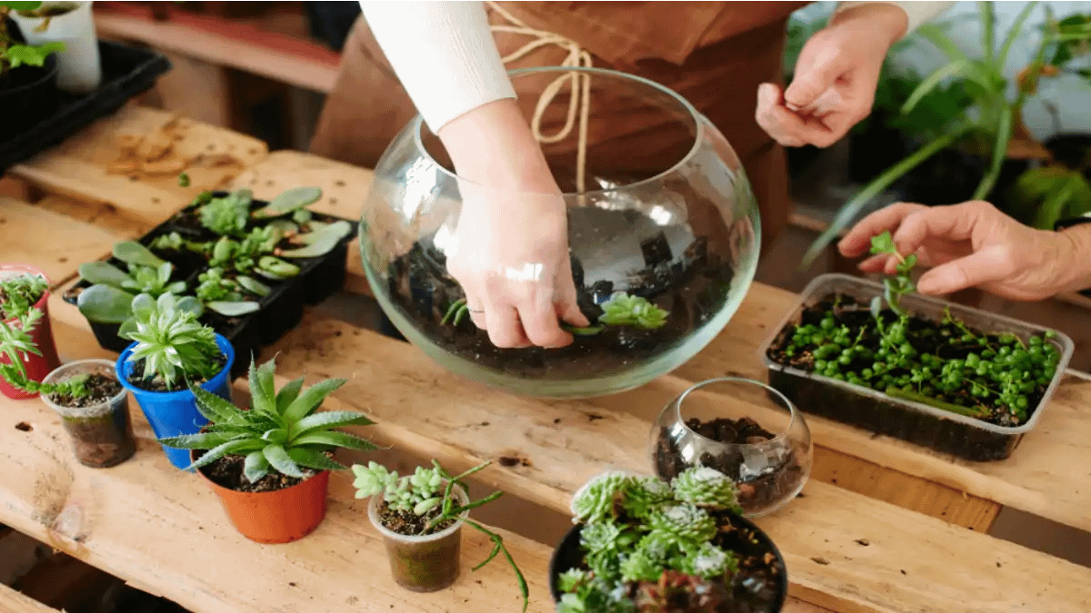 Mini terrário para lembrancinhas, tudo esta no blog Conversa Pronta.