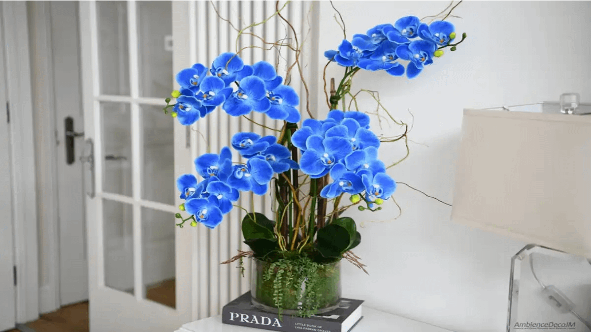 Orquídeas um design vivo no apartamento. O Cultivo completo e as dicas estão no blog Conversa Pronta.