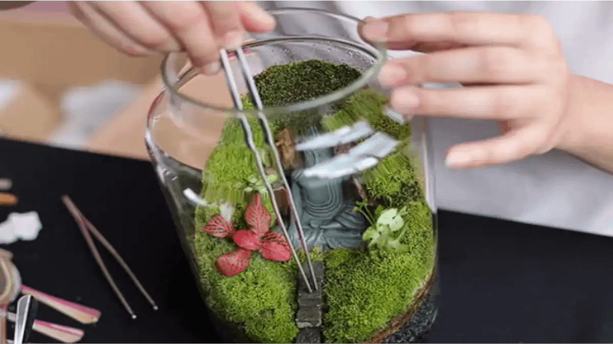 Terrário fechado e vidro, veja como fazer, no blog Conversa Pronta.