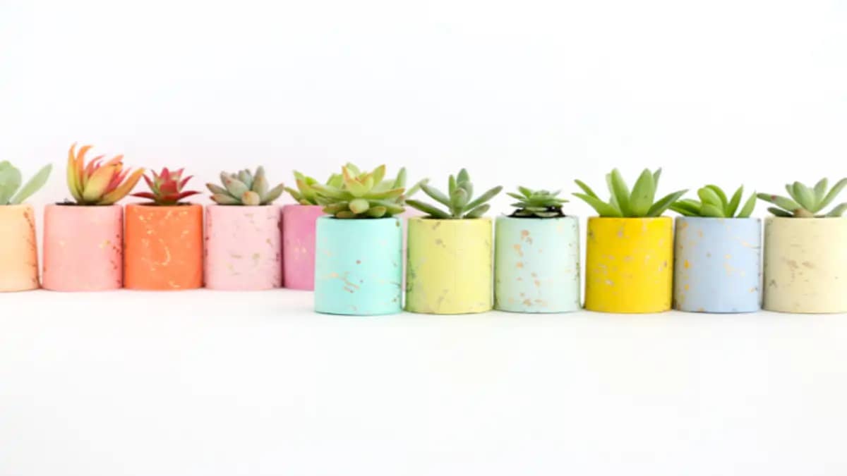 Vaso de gesso com suculentas, lembrancinhas, dicas no blog Conversa Pronta.