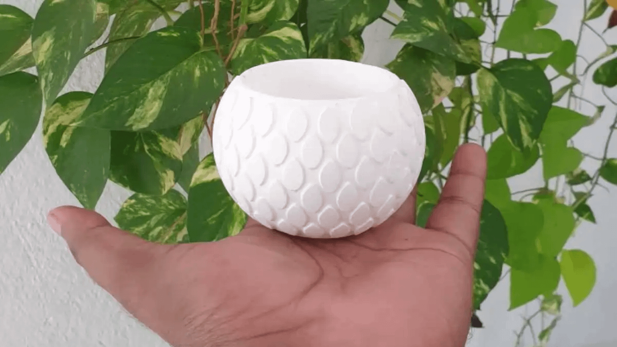 Vaso de gesso para suculetas e cactos aqui no blog Conversa Pronta.