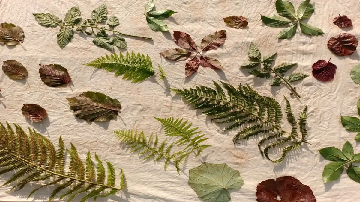 Estampa Botânica em tecidos usando martelo folhas e flores. Blog Conversa Pronta. Dicas completas.