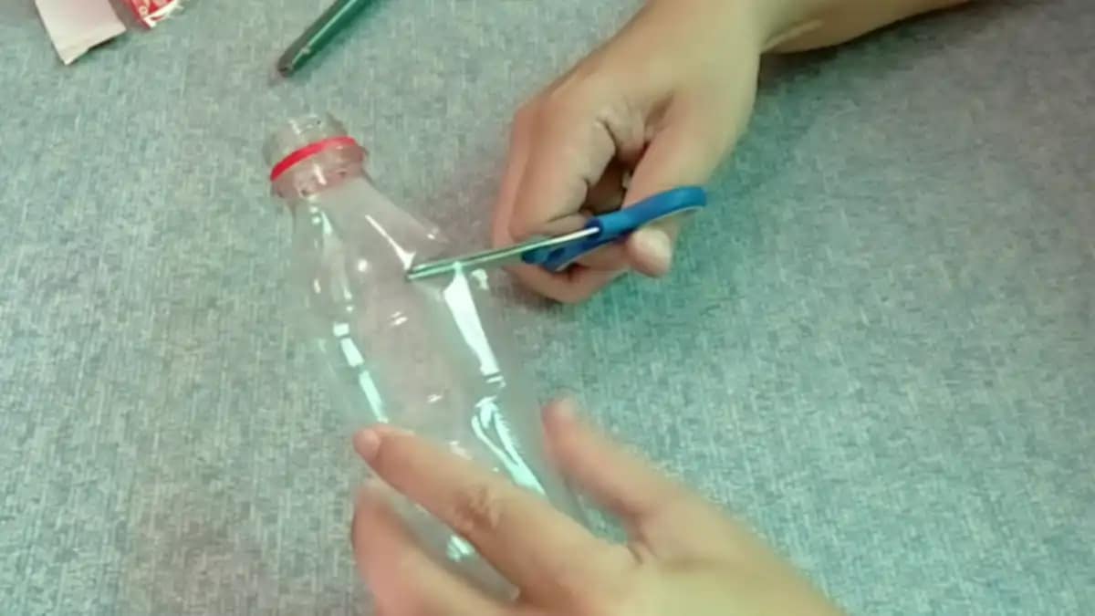 Alporquia na garrafa pet com passo a passo e dicas no blog Conversa Pronta. Confira.