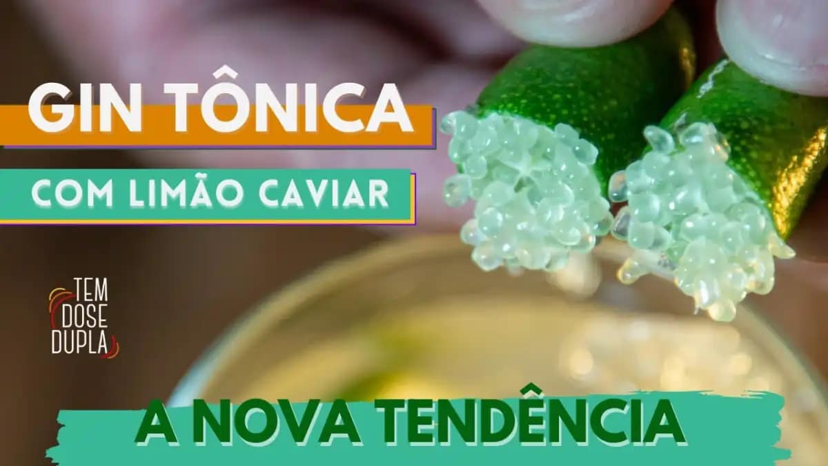 Limão caviar com as dicas de cultivo e receita de drink no blog Conversa Pronta.