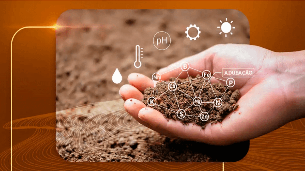 Terra para mudas. As diferenças de adubação estão no blog conversa pronta. Confira!