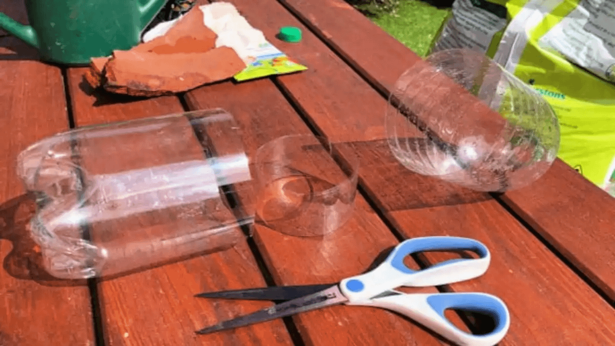 Vaso pet auto irrigável, as dicas completas estão no blog Conversa Pronta.