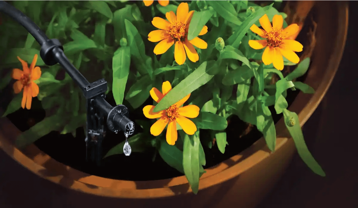 Kit irrigação inteligente, irrigação passo a passo e dicas completas estão no blog Conversa Pronta.