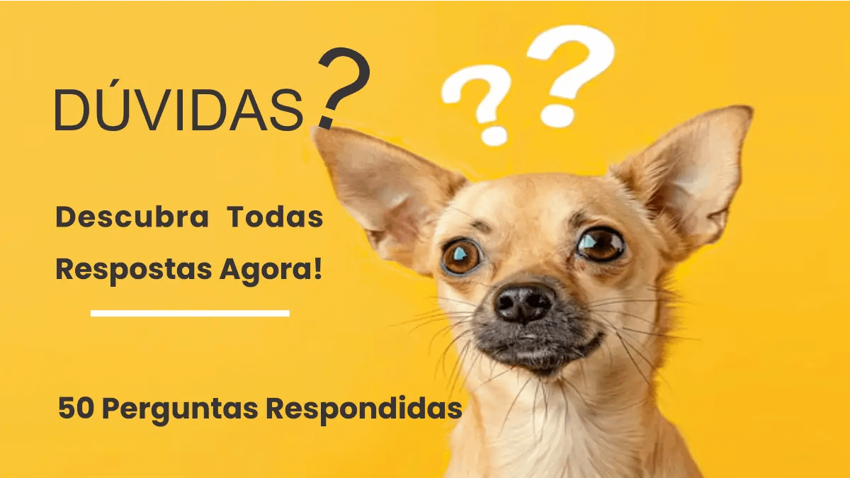 As 50 perguntas sobre os cães respondidas no blog Conversa Pronta.